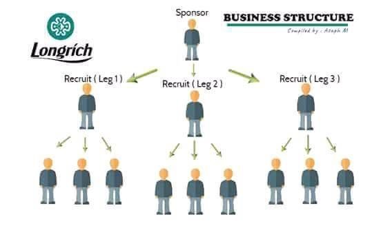 longrich business structure
