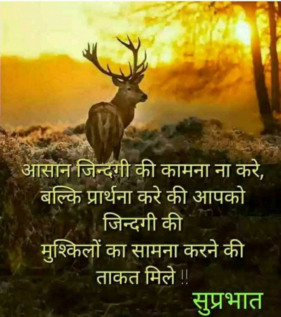d6e646a9 ca3b 4b0d b91a 3f92660b1130
