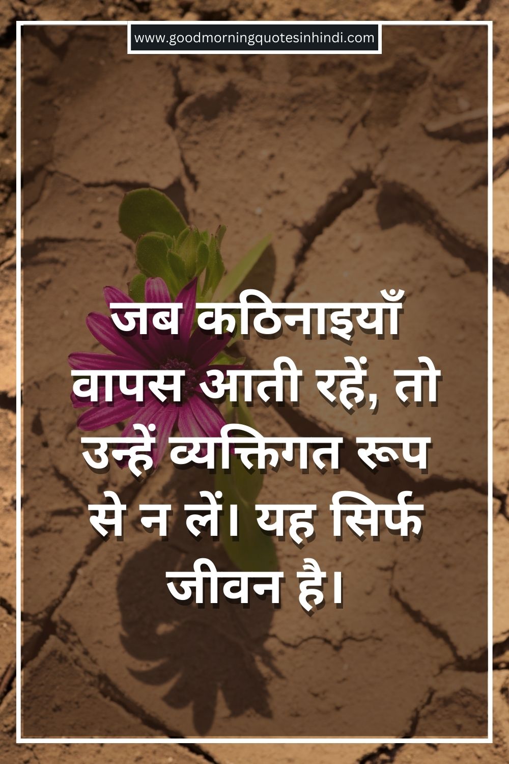 Short Inspirational Quotes About Life And Struggles In Hindi