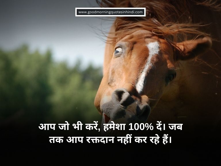 35 Funny Motivational Quotes In Hindi September 2024 Update   2 768 × 576 Px 2 