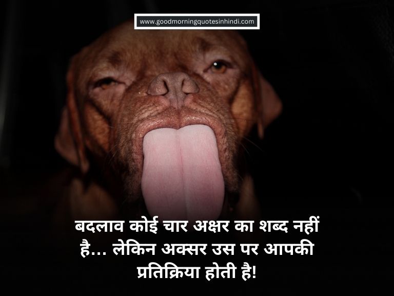 35 Funny Motivational Quotes In Hindi September 2024 Update   2 768 × 576 Px 3 