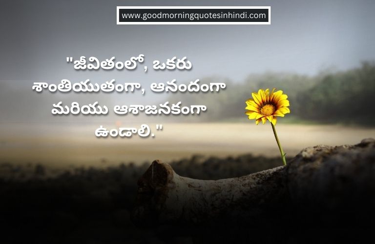 Top 18 Best Attitude Quotes In Telugu To Inspire A Positive Mindset