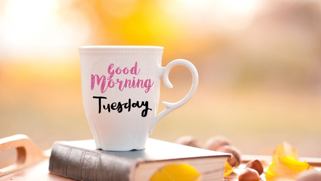Good morning Tuesday in 2023  Good morning tuesday, Tuesday quotes good  morning, Good morning tuesday images